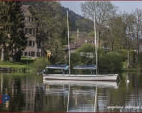 TSR Watermark - 0196